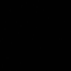 Meet your Posher, Jaylin